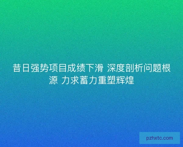 昔日强势项目成绩下滑 深度剖析问题根源 力求蓄力重塑辉煌